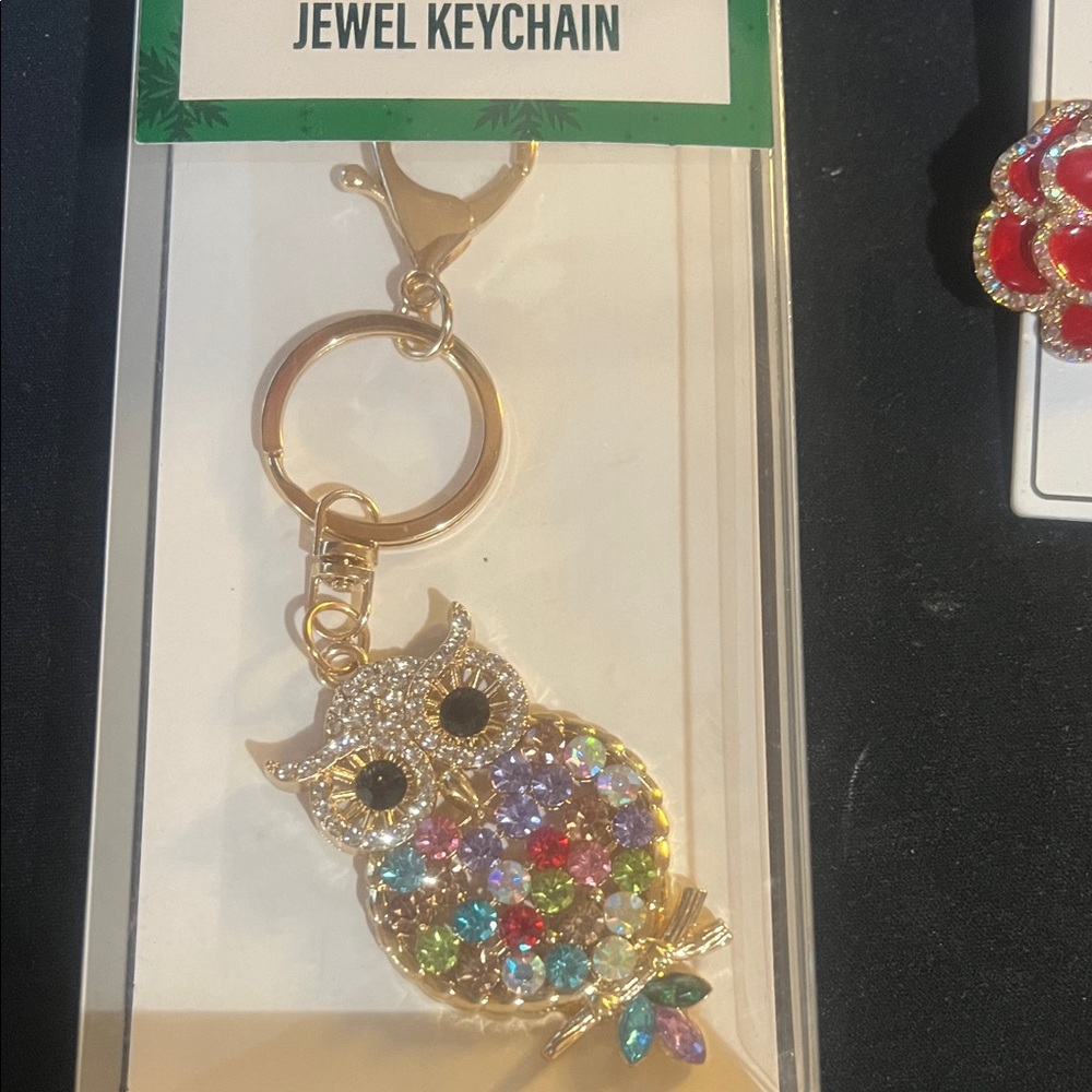 Festive voice Owl Jewel Keychain